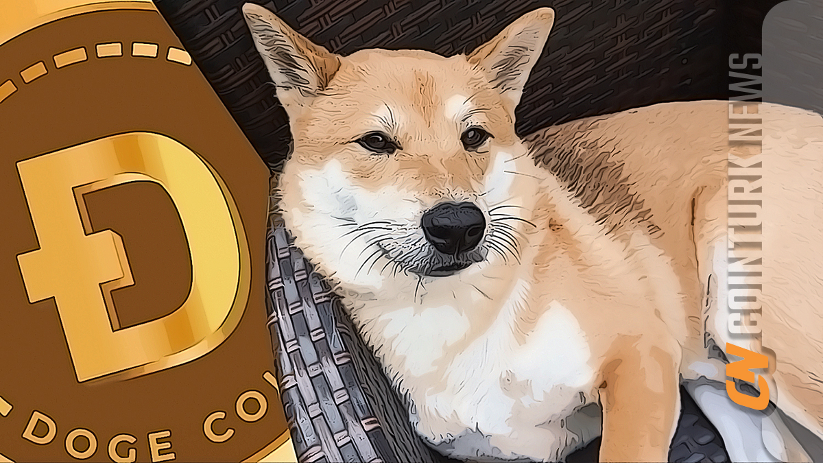 Dogecoin: Predictions for the Next Bull Market