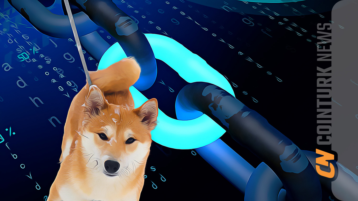 How Dogecoin Managed to Stay Strong Despite the Declines