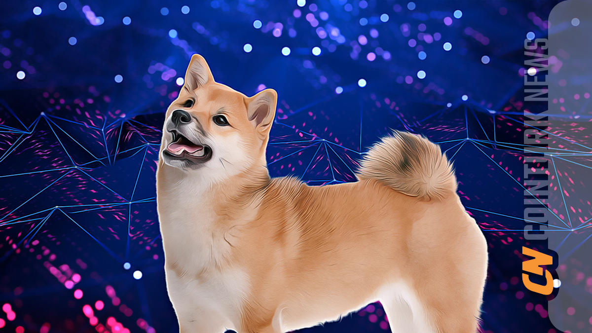 Shiba Inu’s Expected Development Announcement from the Shiba Coin Team