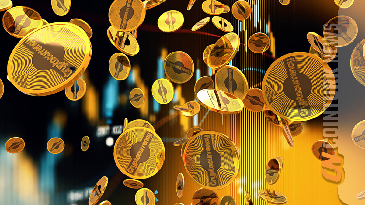 Charting a Clear Path in Crypto: The Importance of Market Understanding