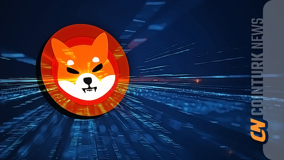 Shiba Inu Coin Burning Rate Sees Modest Increase