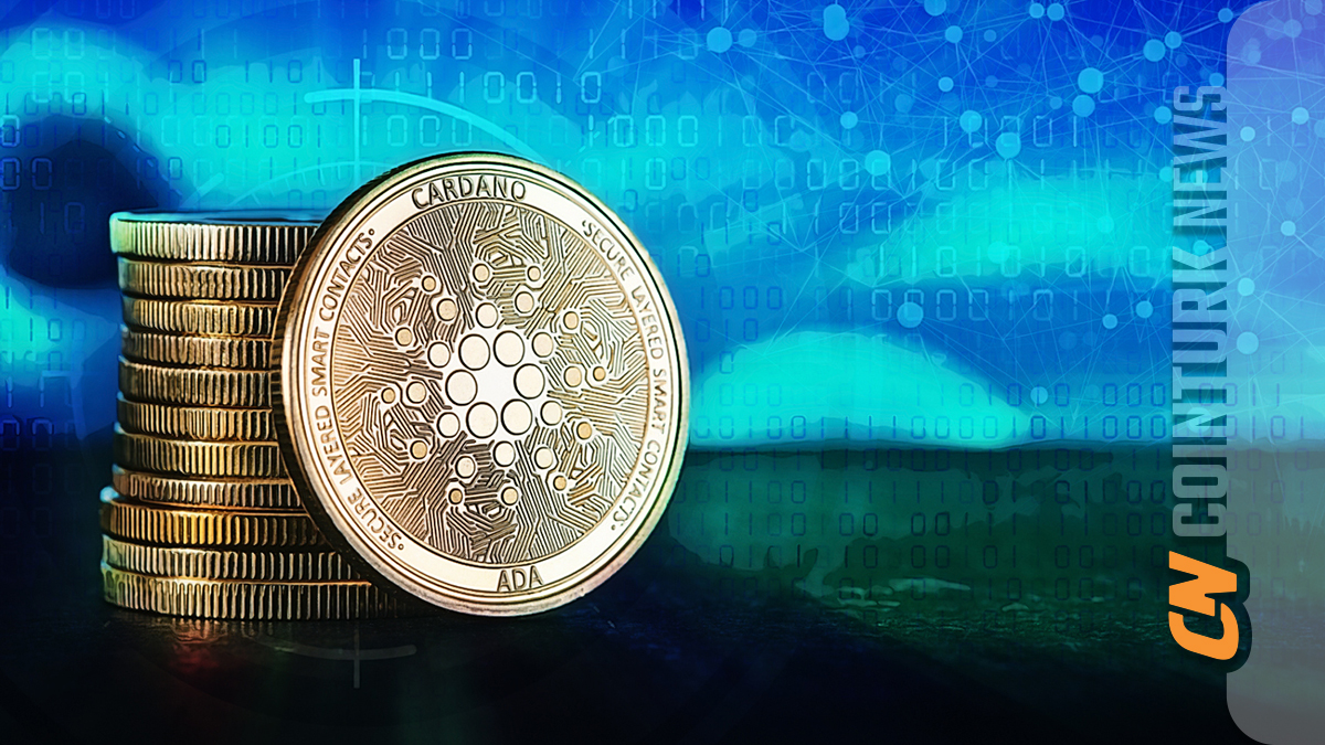 Cardano’s Price Fluctuations and Market Uncertainty