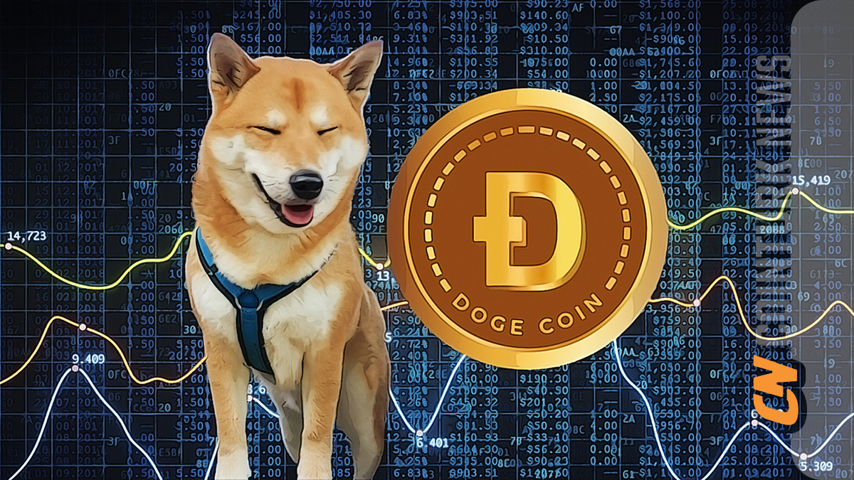 Heavy Blow to Dogecoin Investors as Liquidations Surge