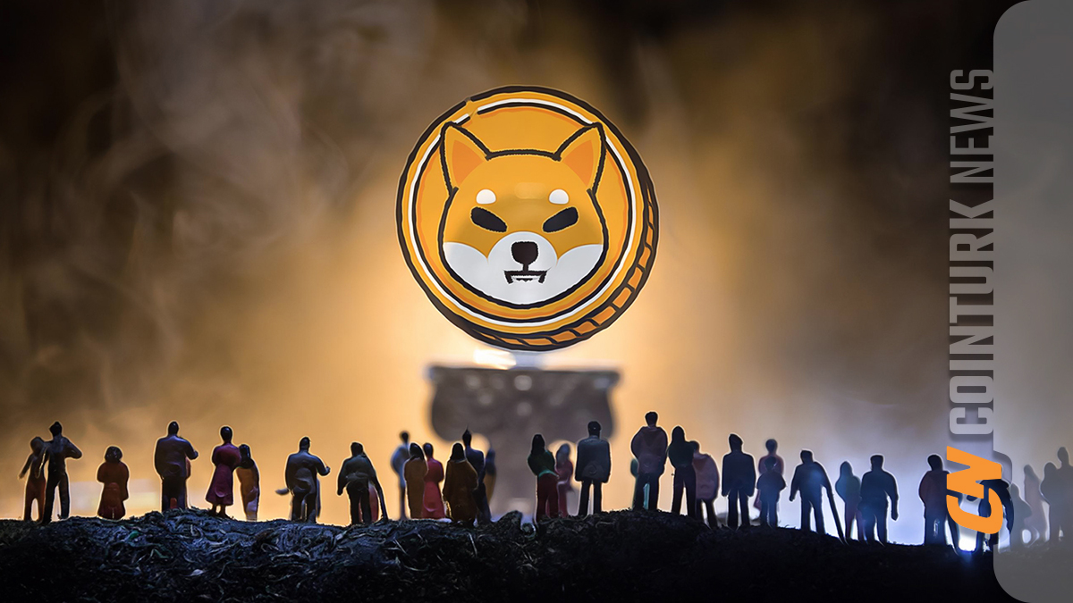 Shiba Inu and Dogecoin Experience Declines