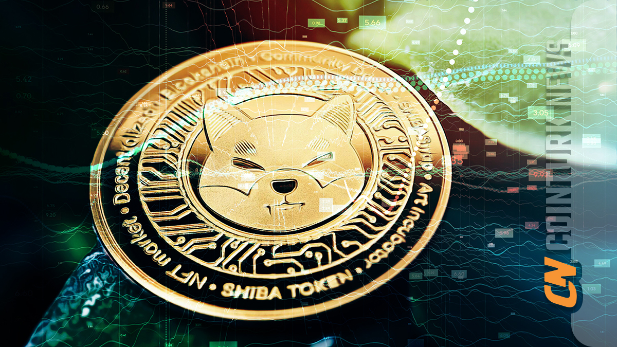 Analysts Discuss Popcat, Dogecoin, and Ethereum Trends