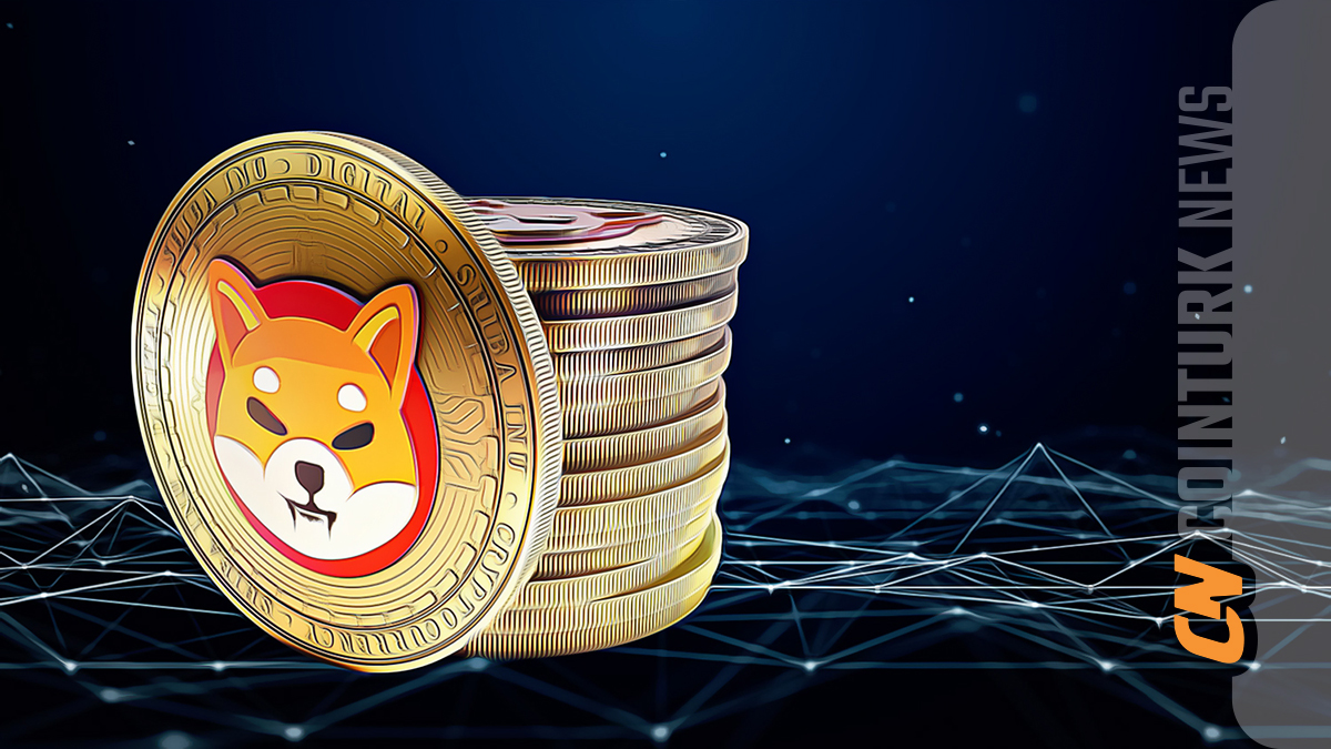Bonk Coin Experiences Price Fluctuations