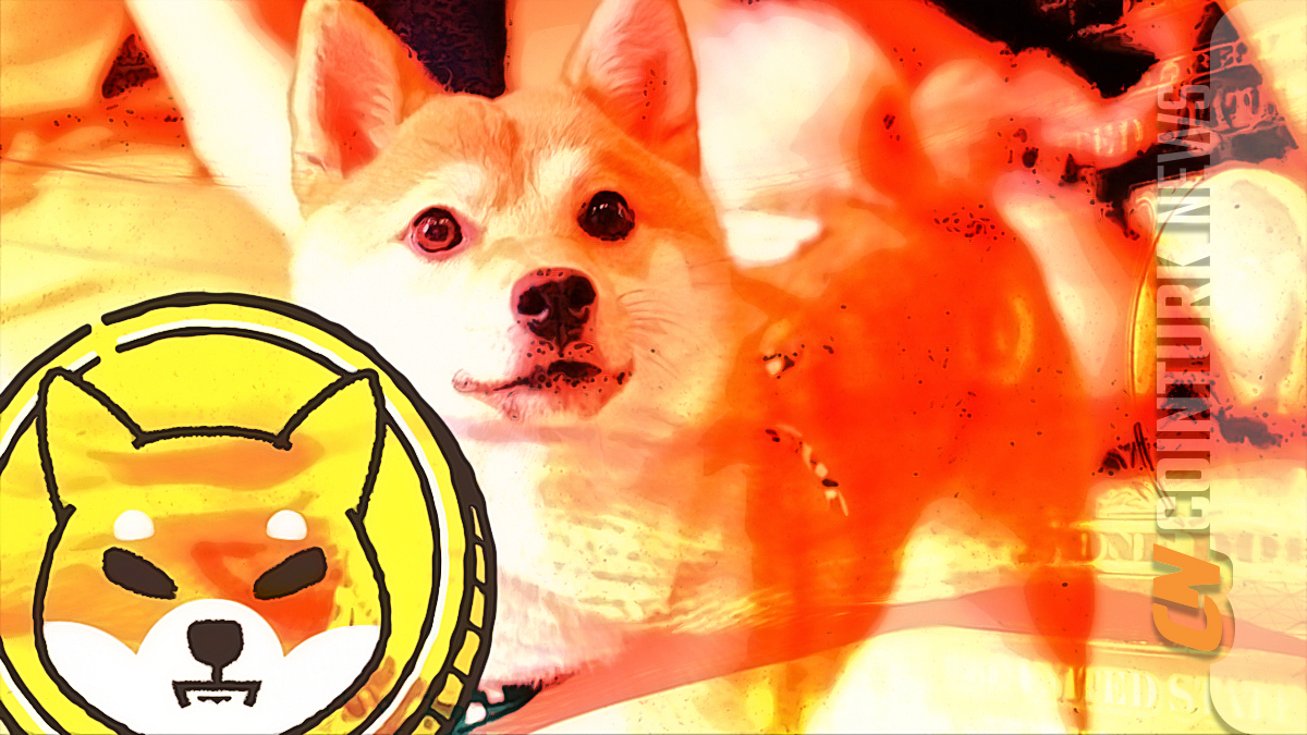 Whale Invests Heavily in Shiba Inu Coin