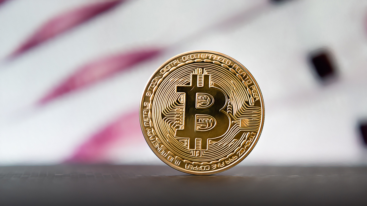 Bitcoin Surpasses 65,000 Dollars and SHIB Sees Promising Gains