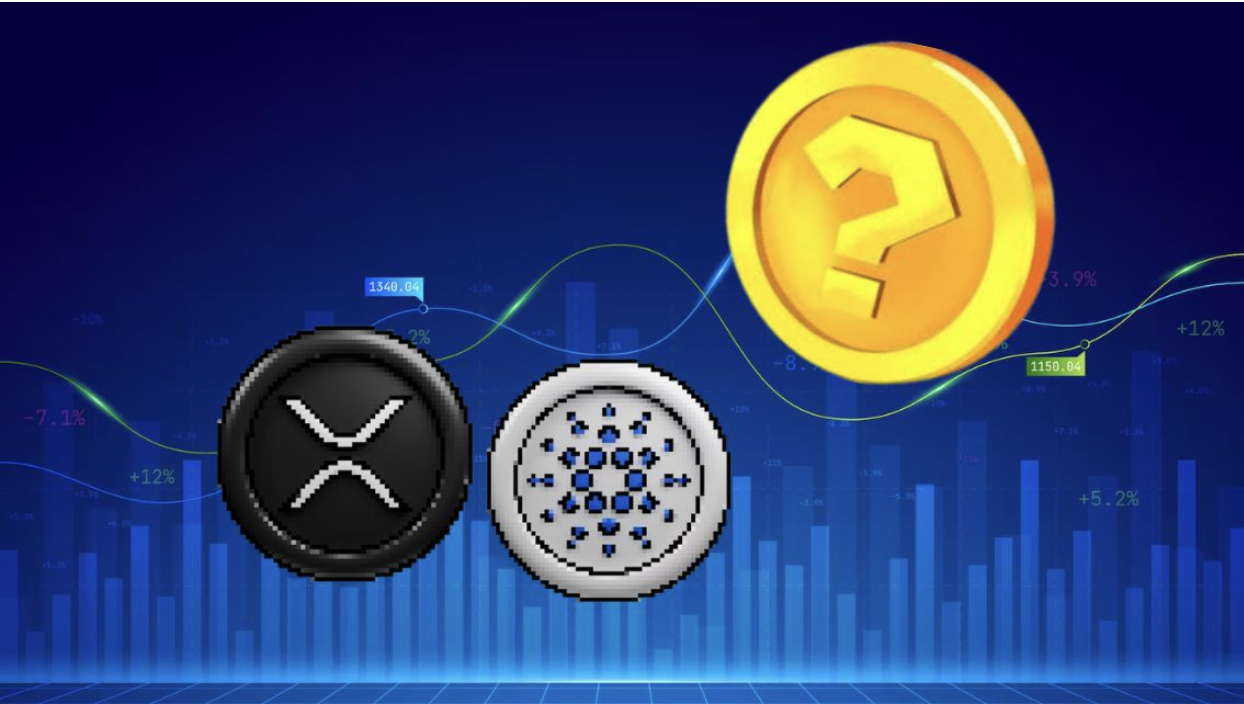 Move Over Cardano (ADA) and Ripple (XRP)! XYZ Coin Emerges as the New Gem in Crypto’s Crown