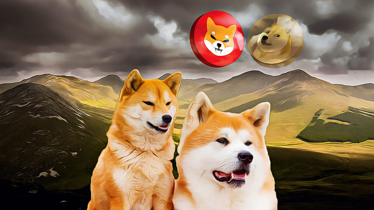 PENGU Coin, Shiba Coin, and WIF Coin Show Mixed Market Trends