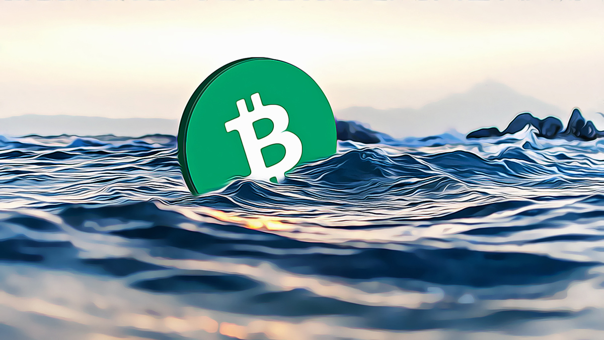 Massive Bitcoin Sell-off Triggers Market Panic