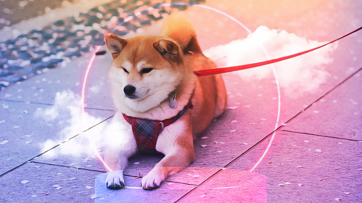 Shiba Inu Token Burn Surges, Sparking Price Predictions