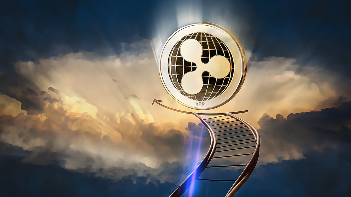 XRP Stays Steady as Market Uncertainty Looms