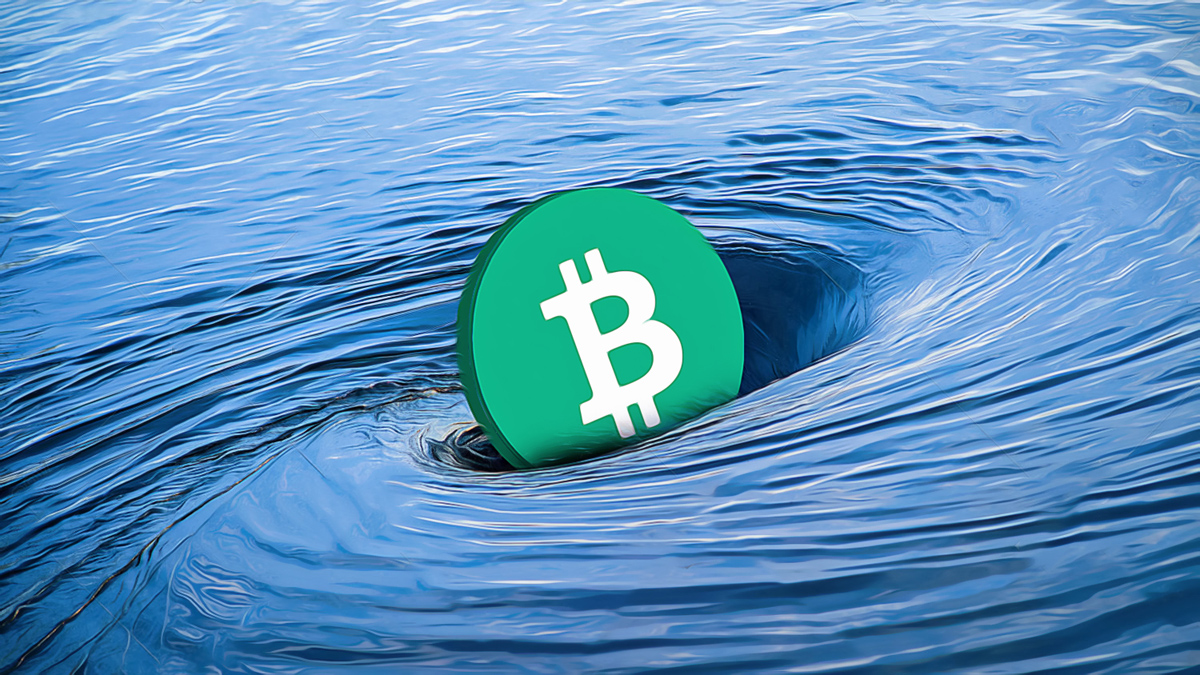Texas Makes Bold Move Investing in Bitcoin