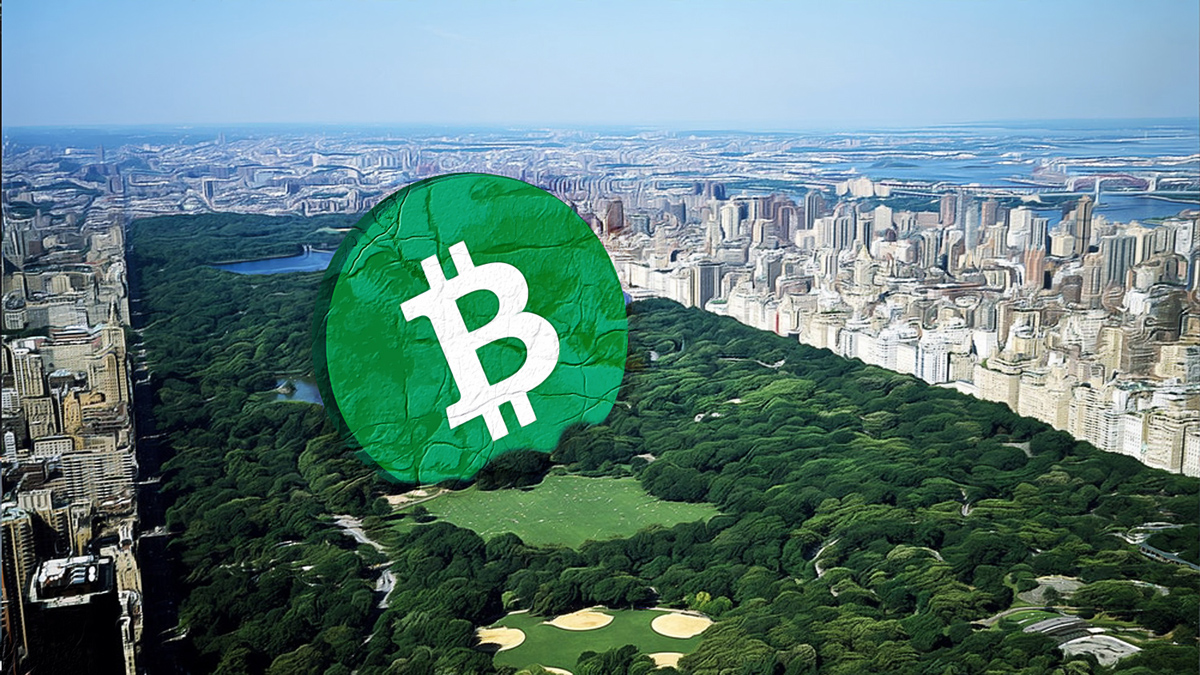 Bitcoin Price Stagnates Despite Ongoing Institutional Purchases