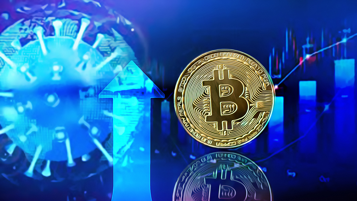 The Resilience of Bitcoin in Turbulent Political Seas