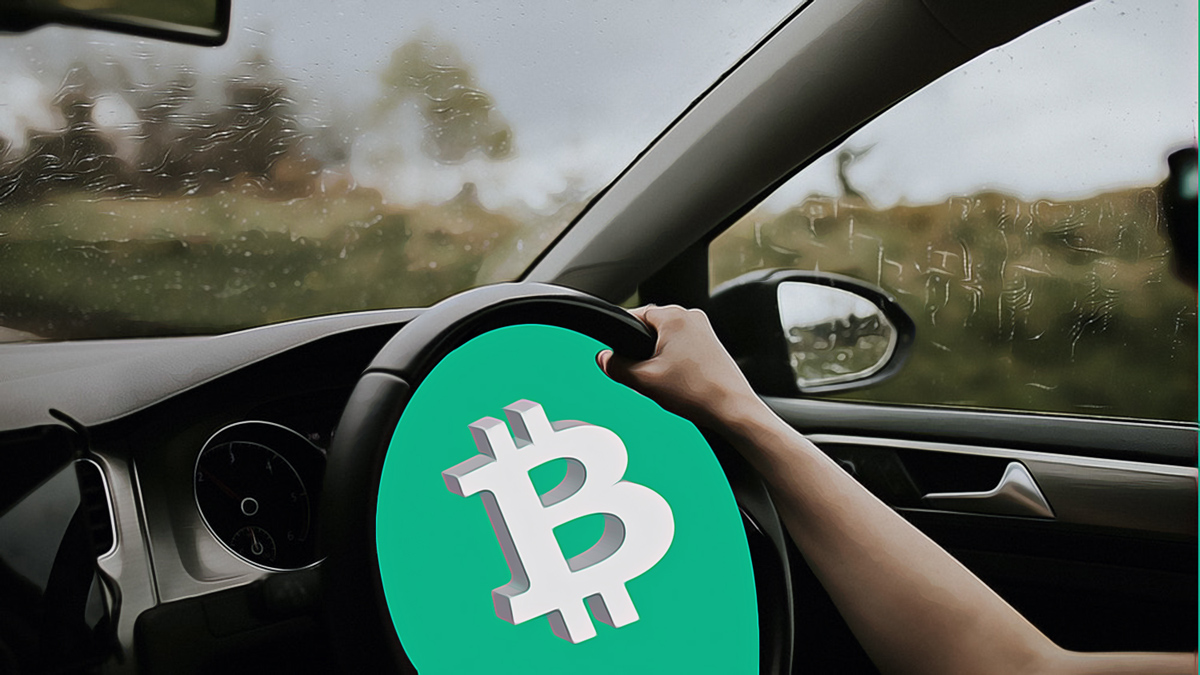 Long-Term Bitcoin Holders Signal a Major Market Shift