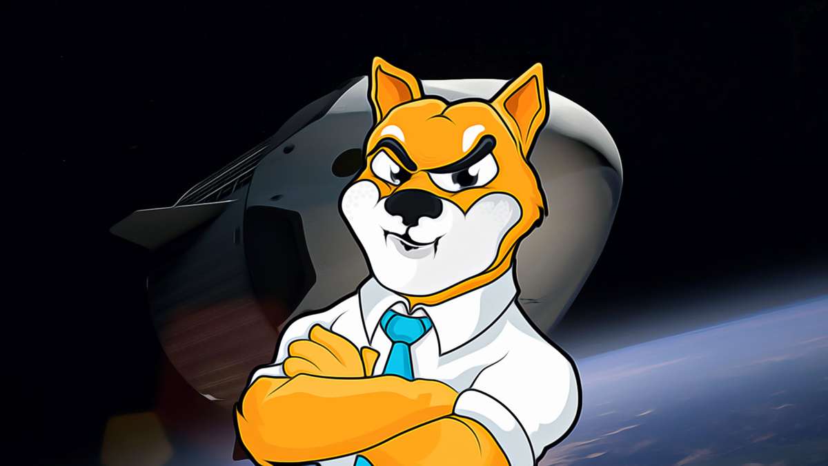 Rethinking Strategies as SHIB’s Market Dynamics Shift