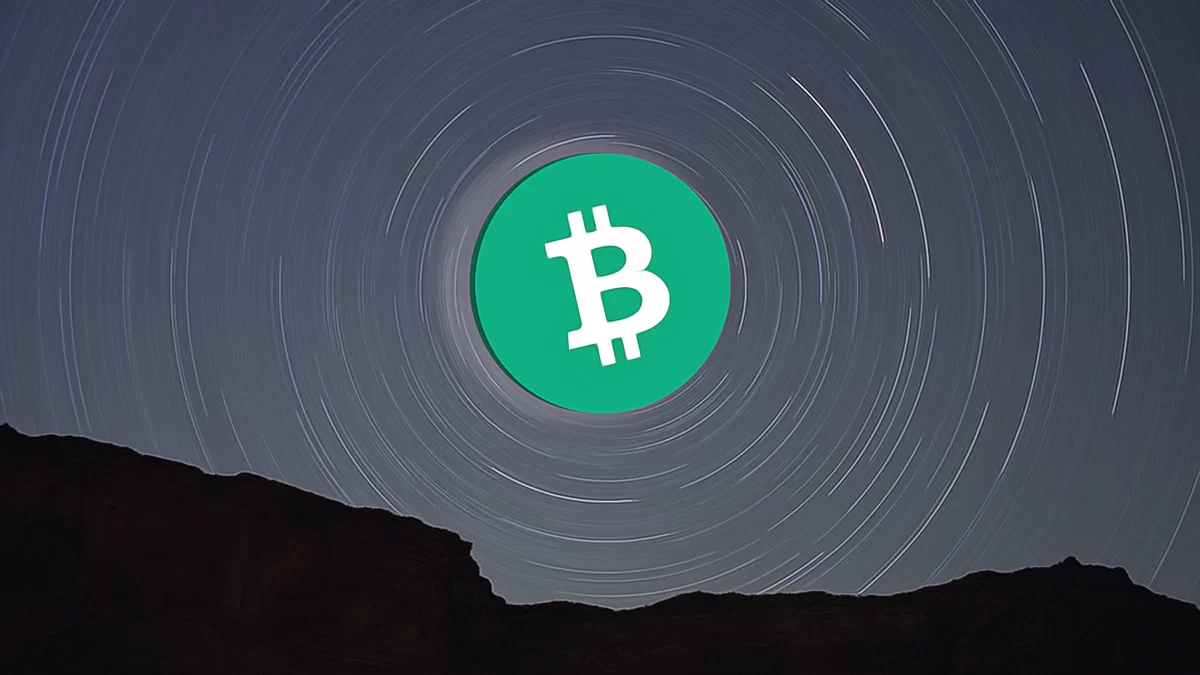 Bitcoin Holders Record Loss After Two-Year Profit Streak Ends