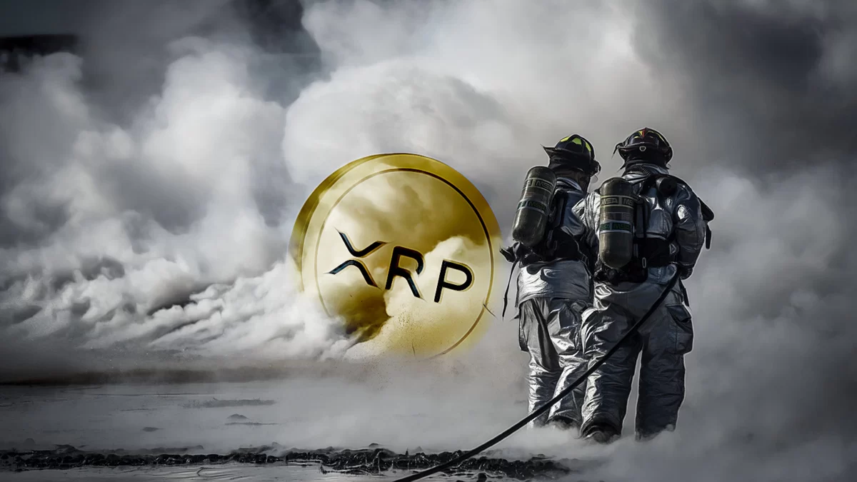 XRP Enthralls as Large Wallets Accumulate Despite Price Slump