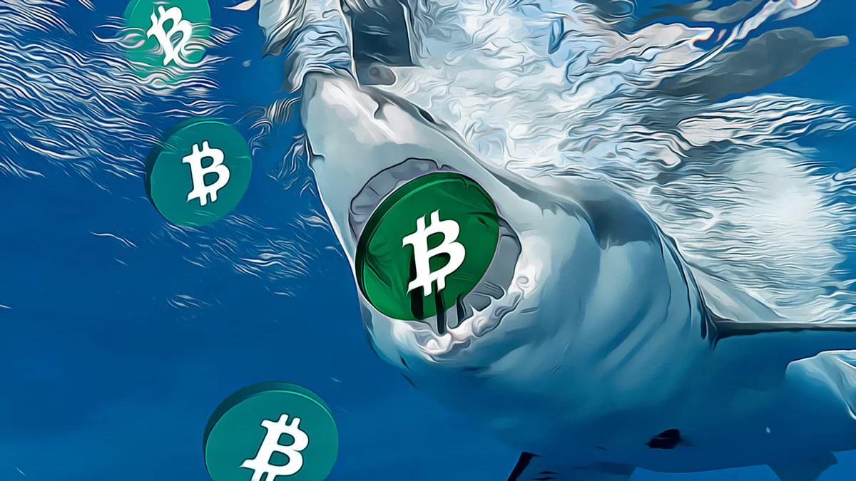 Bitcoin Defies Expectations with Unexpected Downturn